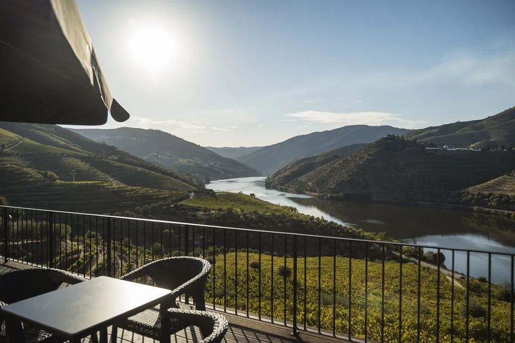 Quinta de São Luiz: Visita às vinhas