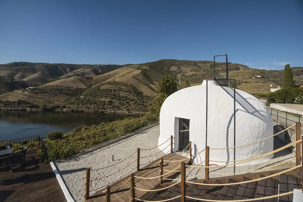 Quinta de São Luiz: Visita às vinhas