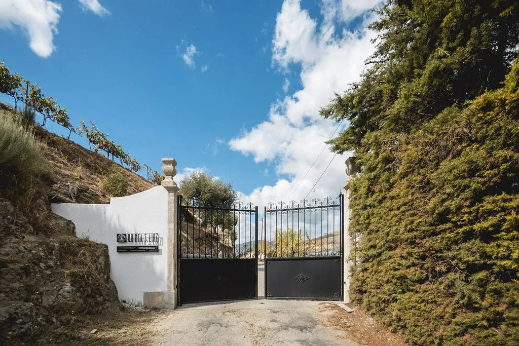 Quinta de São Luiz: Visita às vinhas
