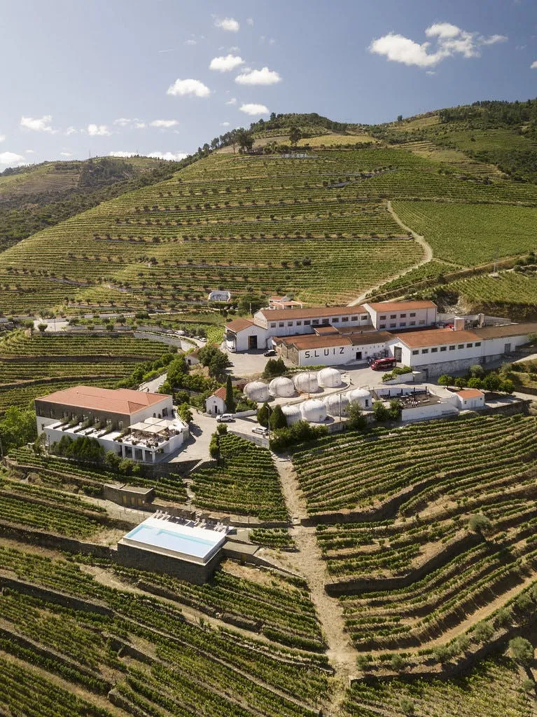 Quinta de São Luiz: Visita às vinhas