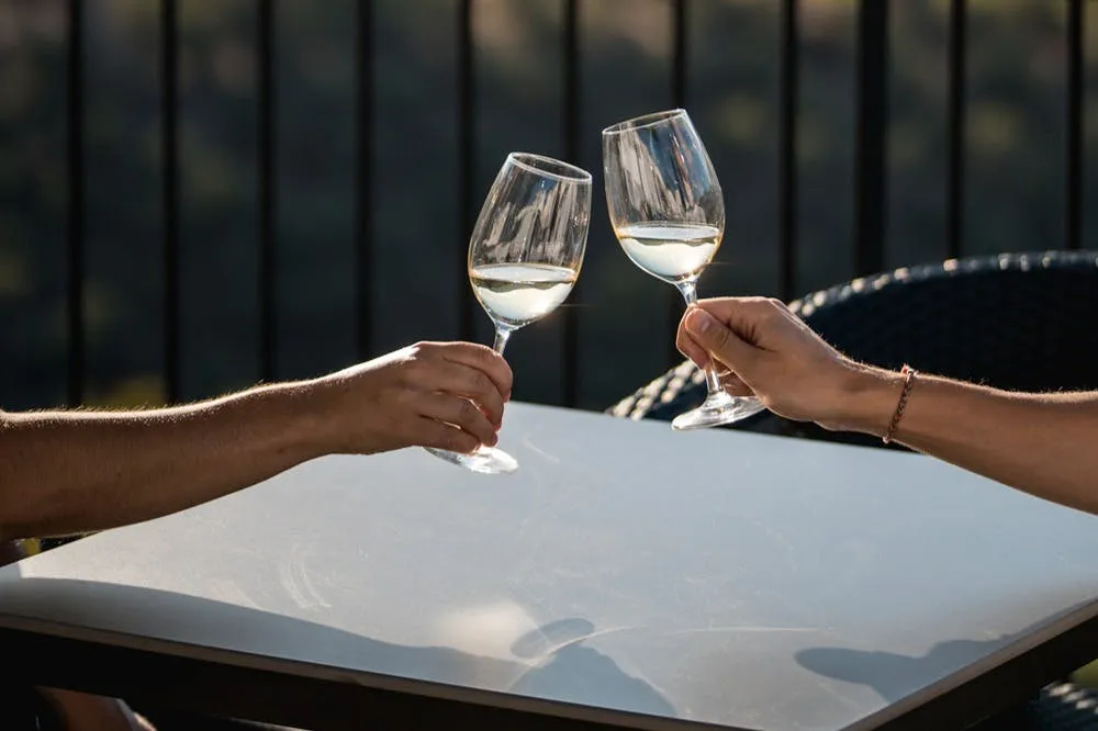 Quinta de São Luiz: Visita às vinhas