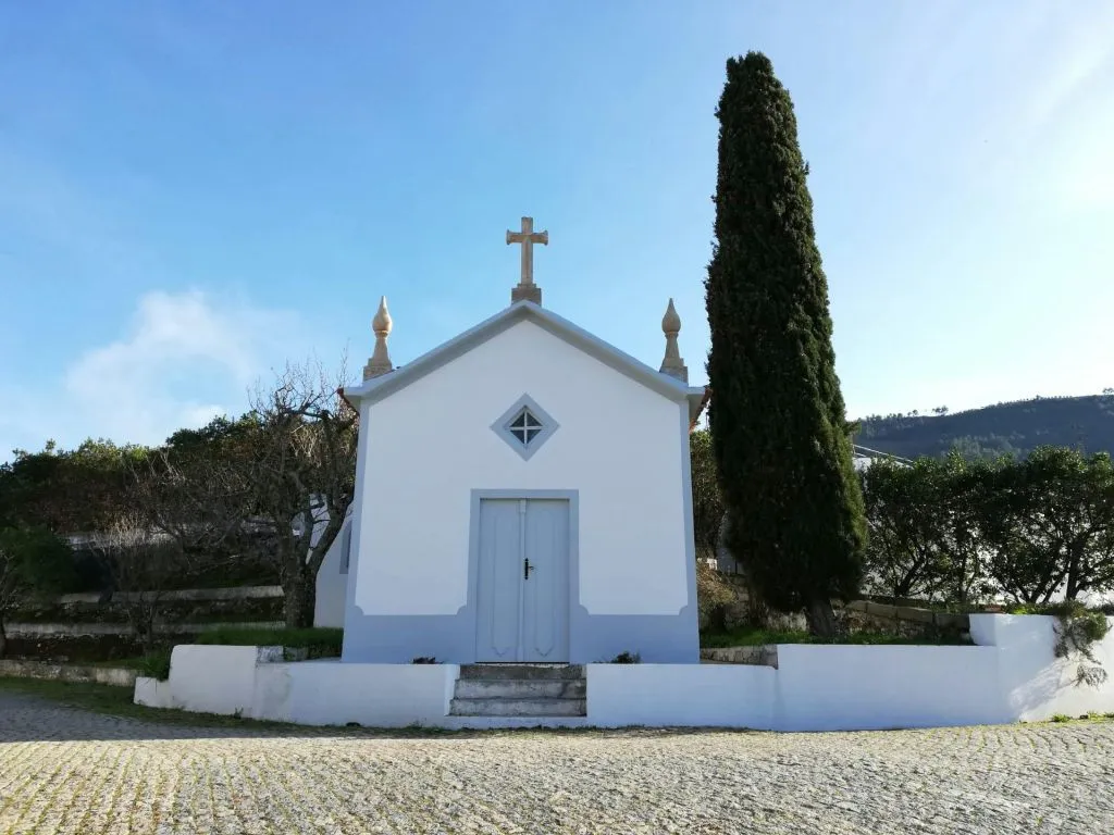 Quinta de São Luiz: Visita às vinhas