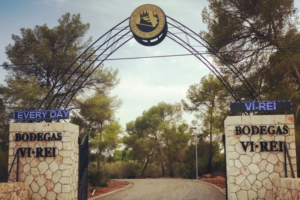 Bodega Vi Rei: Visita guiada y cata de vinos