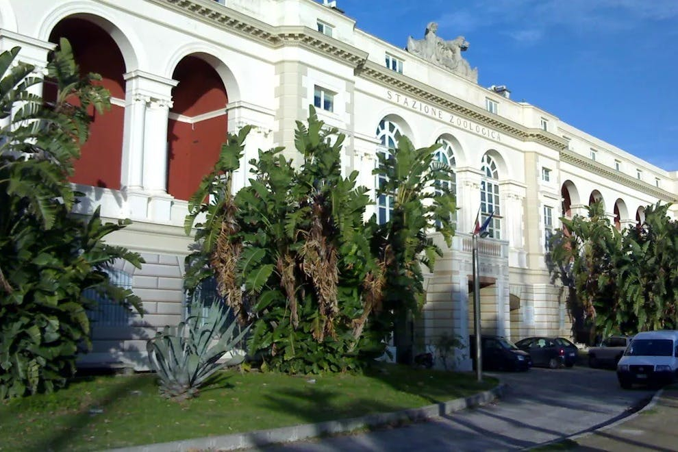 Three-Day Grand Tour in and Around Naples