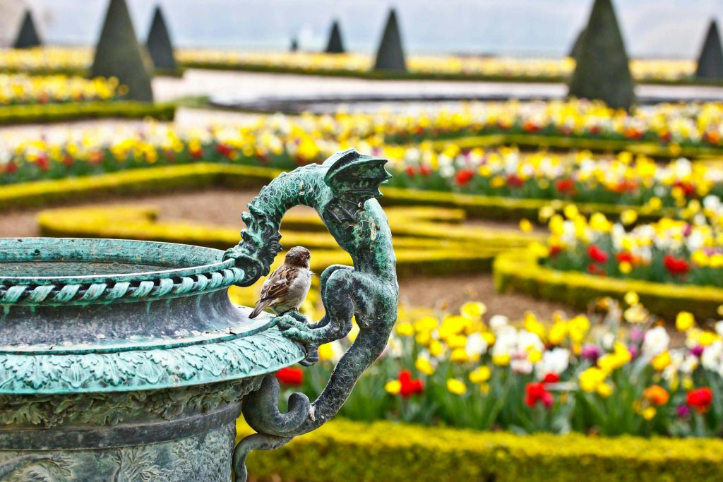 Versailles Gardens