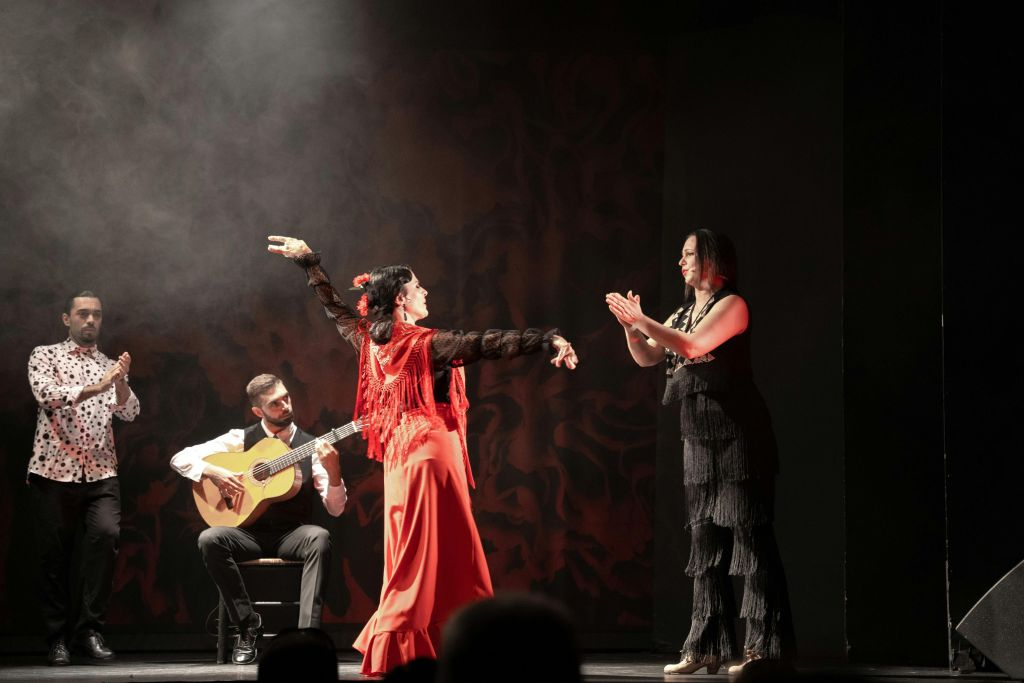 Teatro Flamenco Madrid: Show Ticket