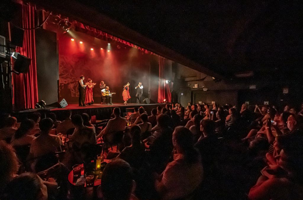 Teatro Flamenco Madrid: Show Ticket