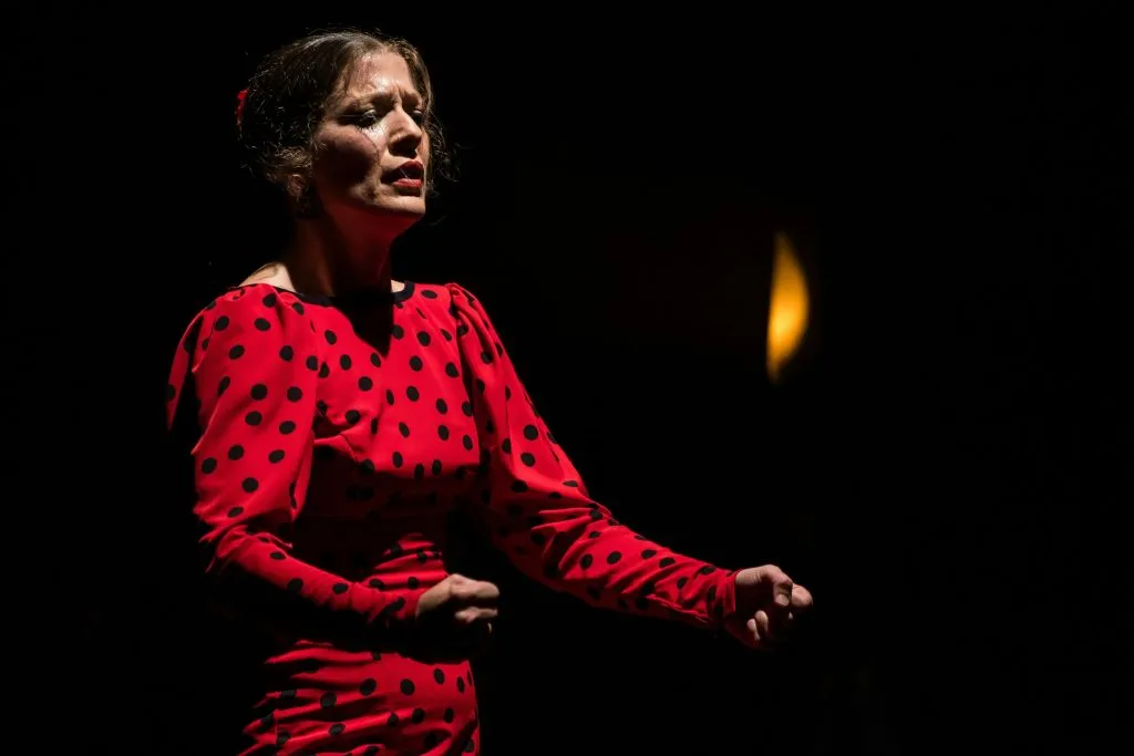 Teatro Flamenco Madrid: Show Ticket