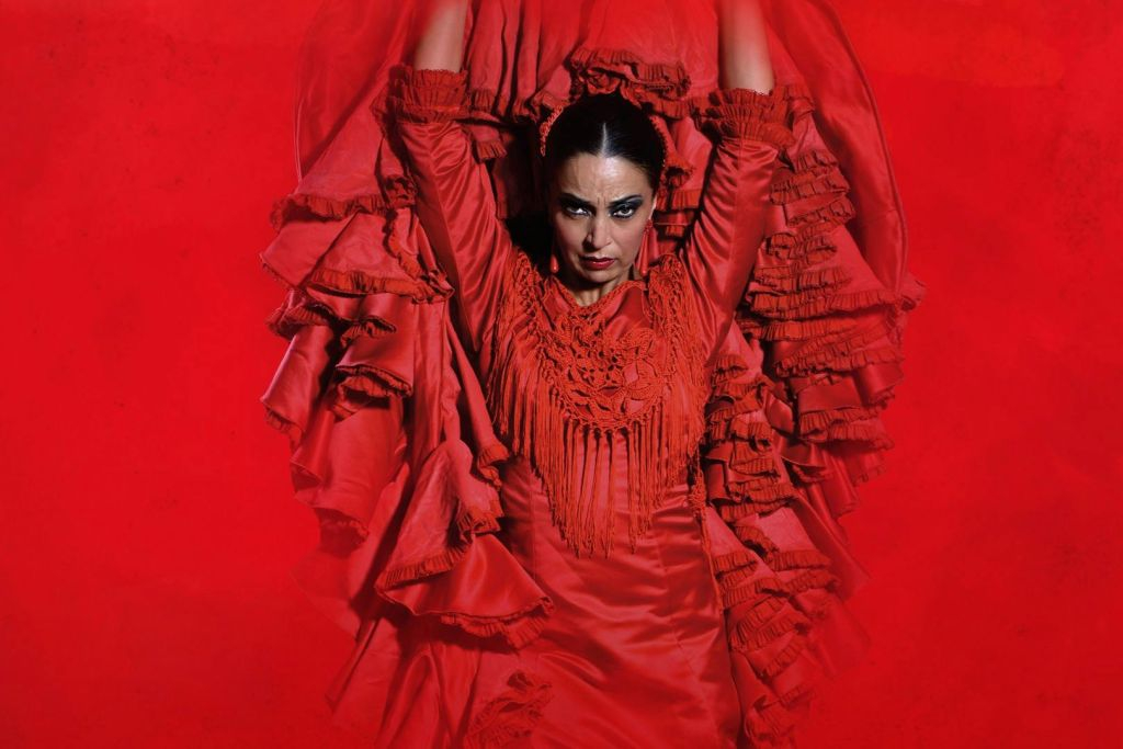 Teatro Flamenco Madrid: Show Ticket