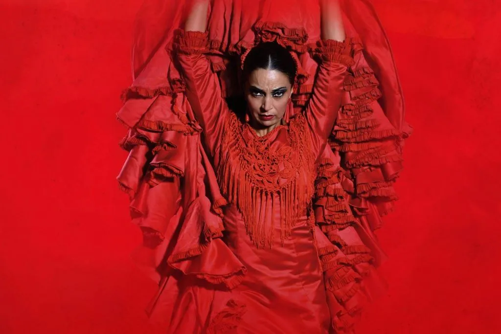 Teatro Flamenco Madrid: Show Ticket