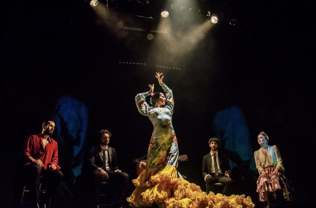 Teatro Flamenco Madrid: Show Ticket