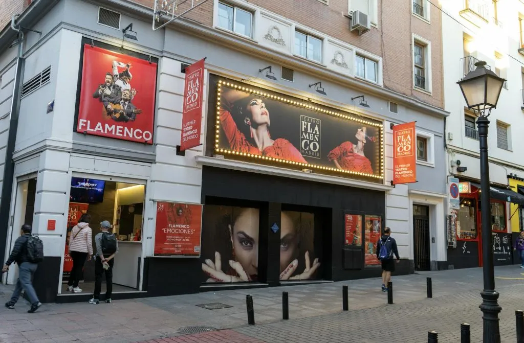 Teatro Flamenco Madrid: Show Ticket