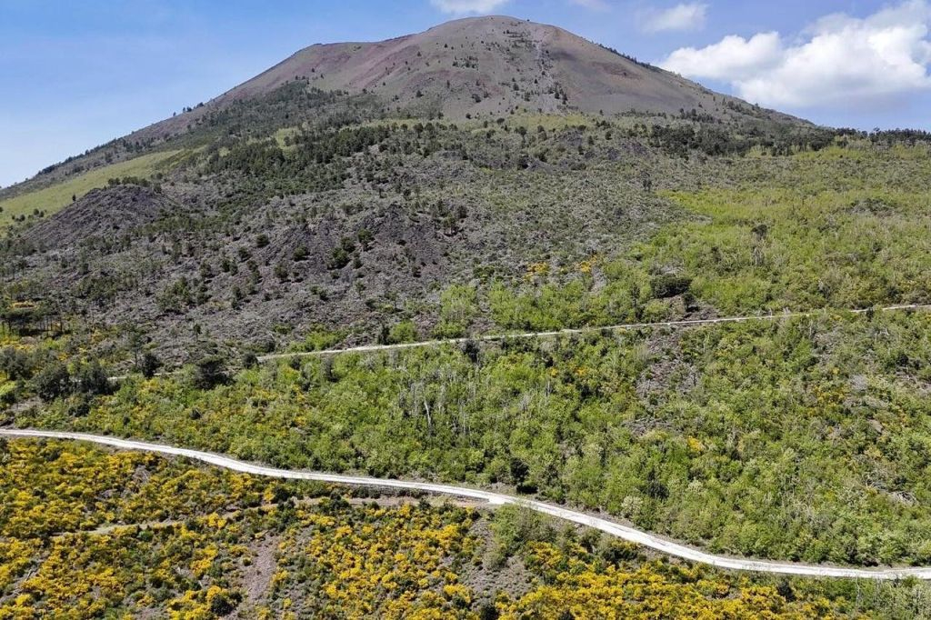 Mount Vesuvius: Skip The Line Ticket + Bike Tour + Tasting