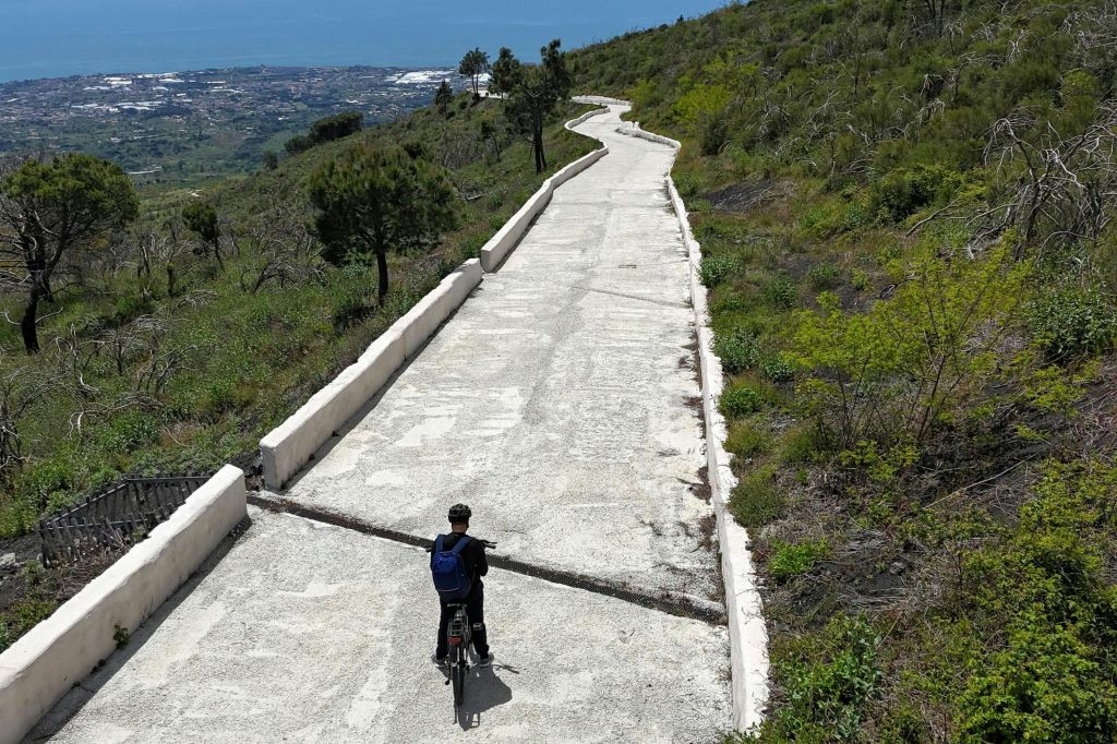 Mount Vesuvius: Skip The Line Ticket + Bike Tour + Tasting