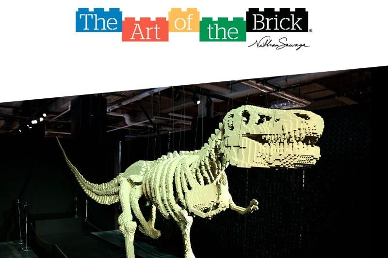 Paris: The Art of the Brick Entry Ticket