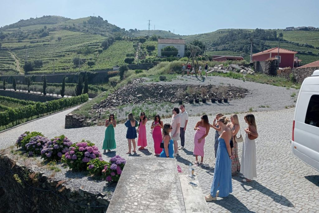 Douro Valley: Guided Wine Tour from Porto + Lunch