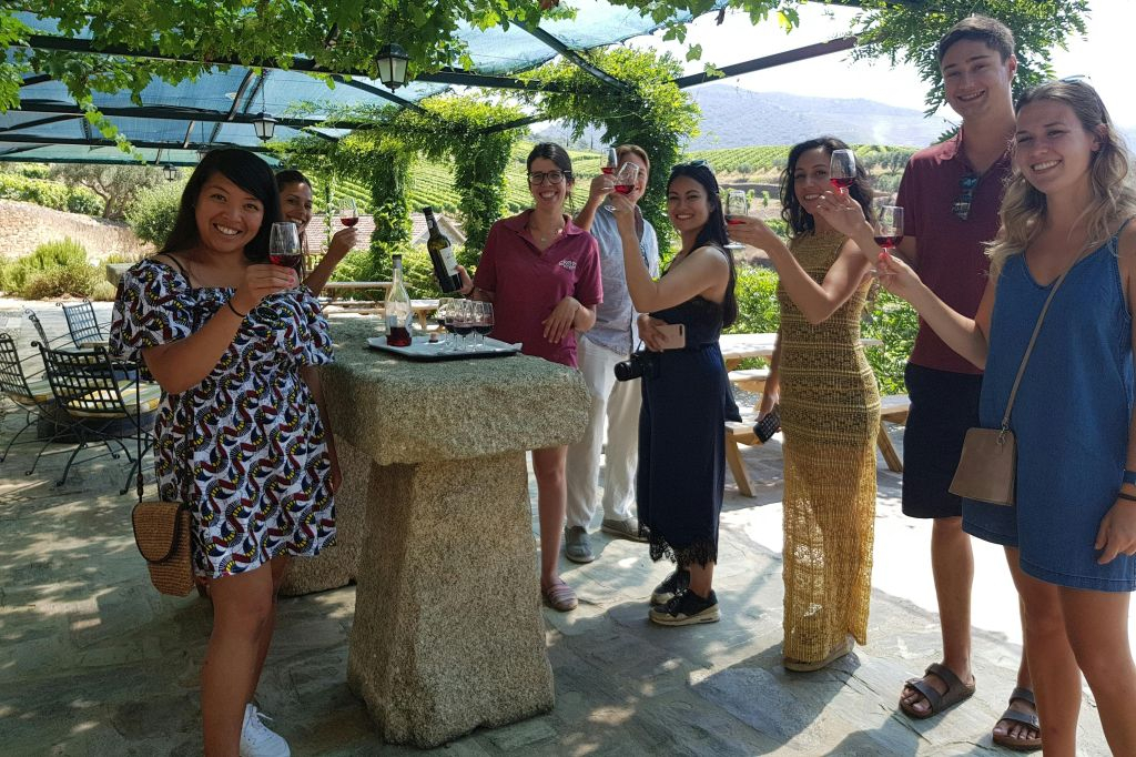 Valle del Douro: Tour del vino + pranzo da Porto