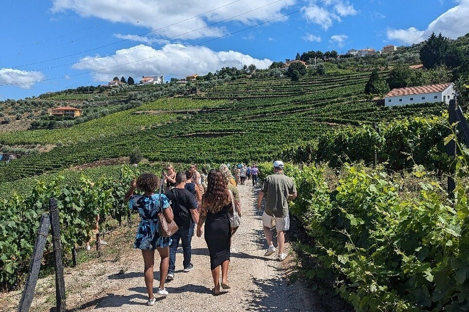Douro Valley: Guided Wine Tour from Porto + Lunch