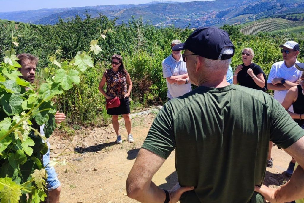 Douro Valley: Guided Wine Tour from Porto + Lunch