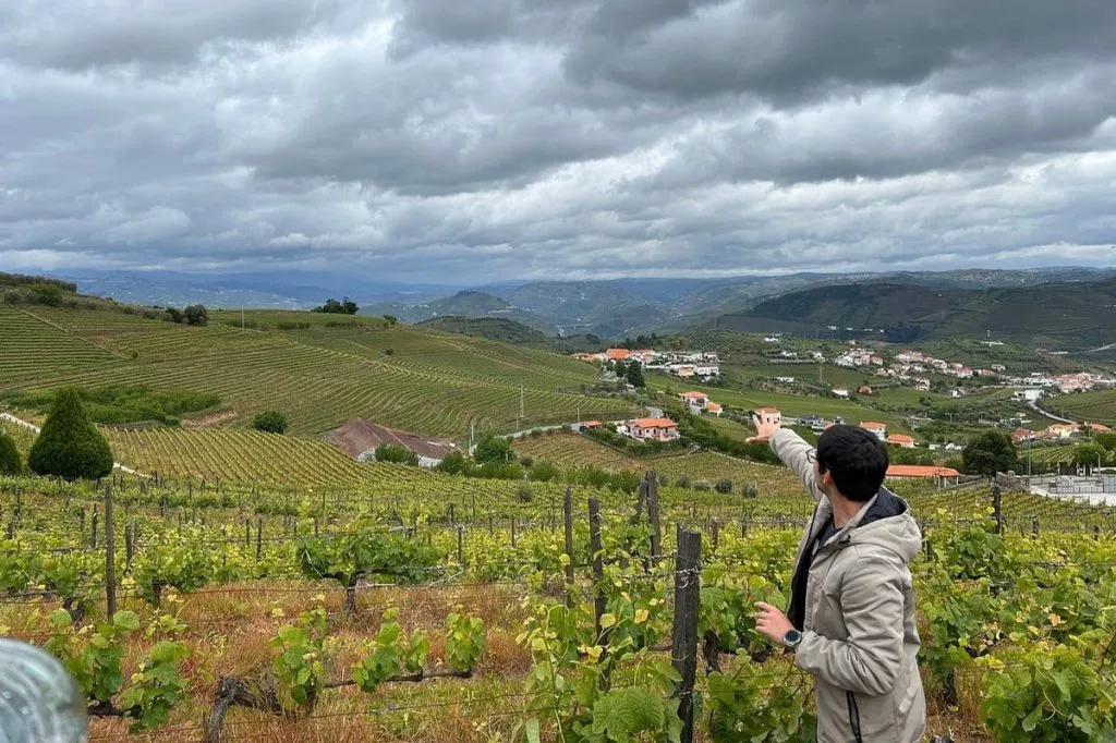 Douro Valley: Guided Wine Tour from Porto + Lunch