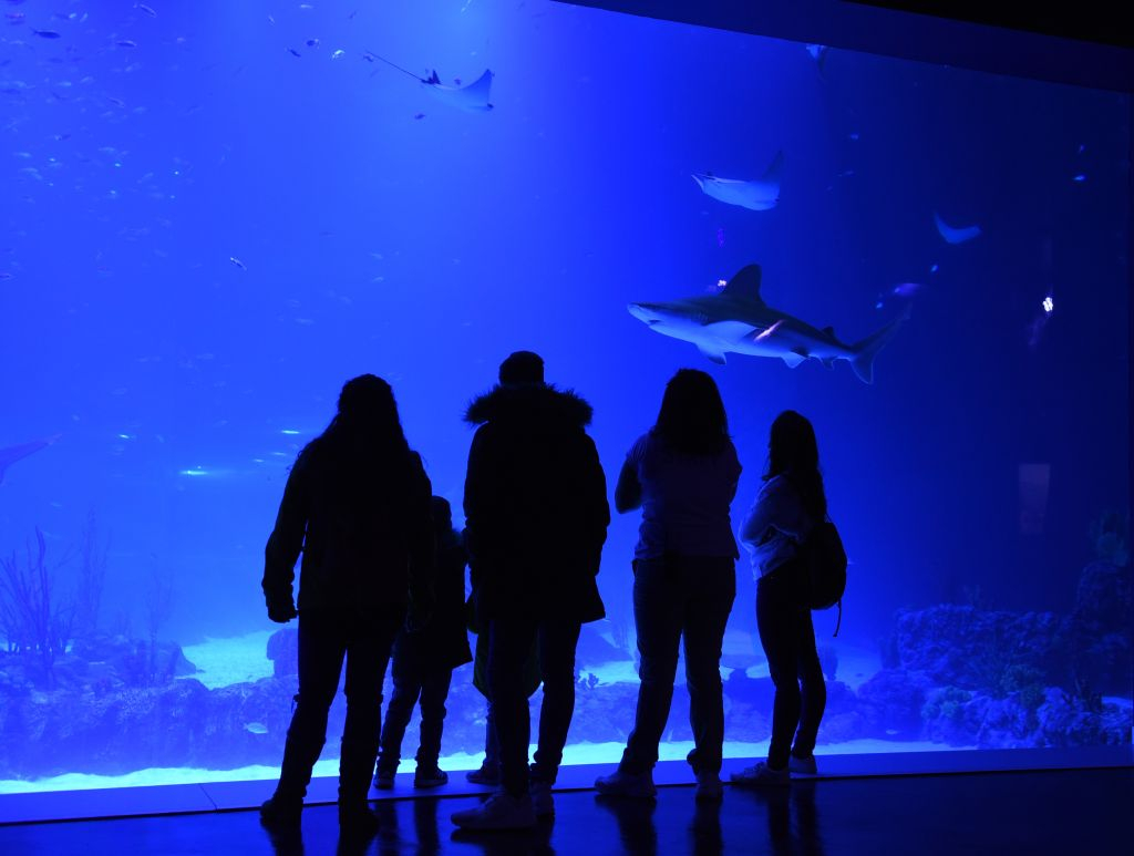 Atlantis Aquarium Madrid