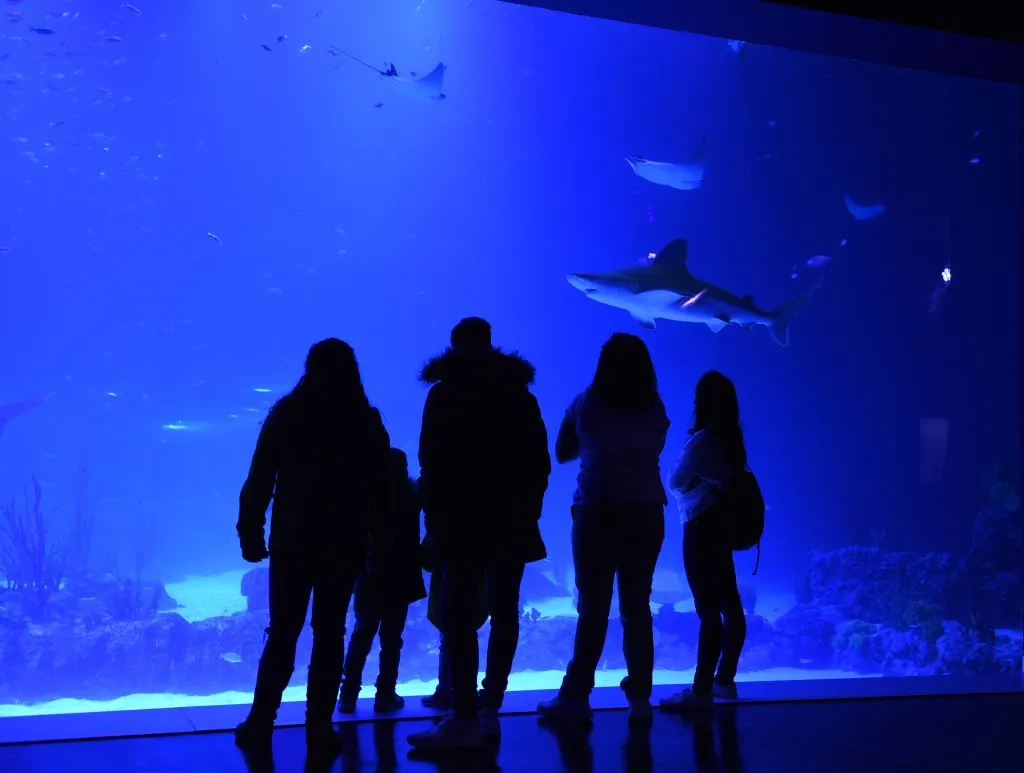 Atlantis Aquarium Madrid