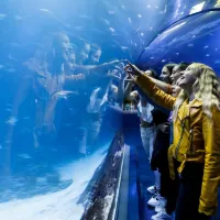 Atlantis Aquarium Madrid