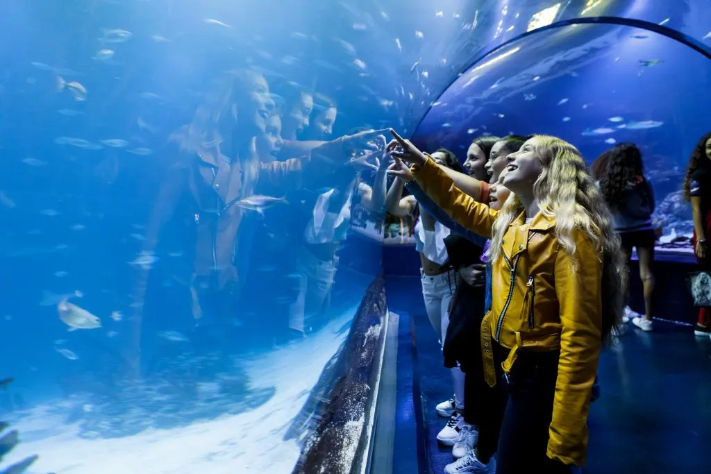 Atlantis Aquarium Madrid