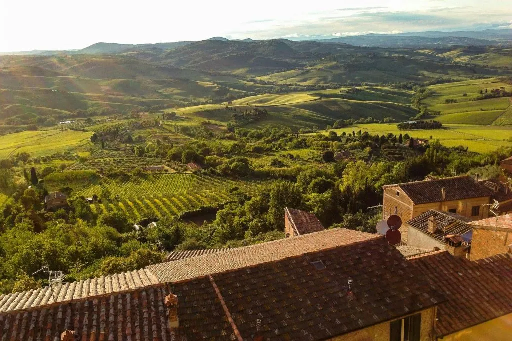 Montepulciano: Visita guidata al vigneto + degustazione di vini