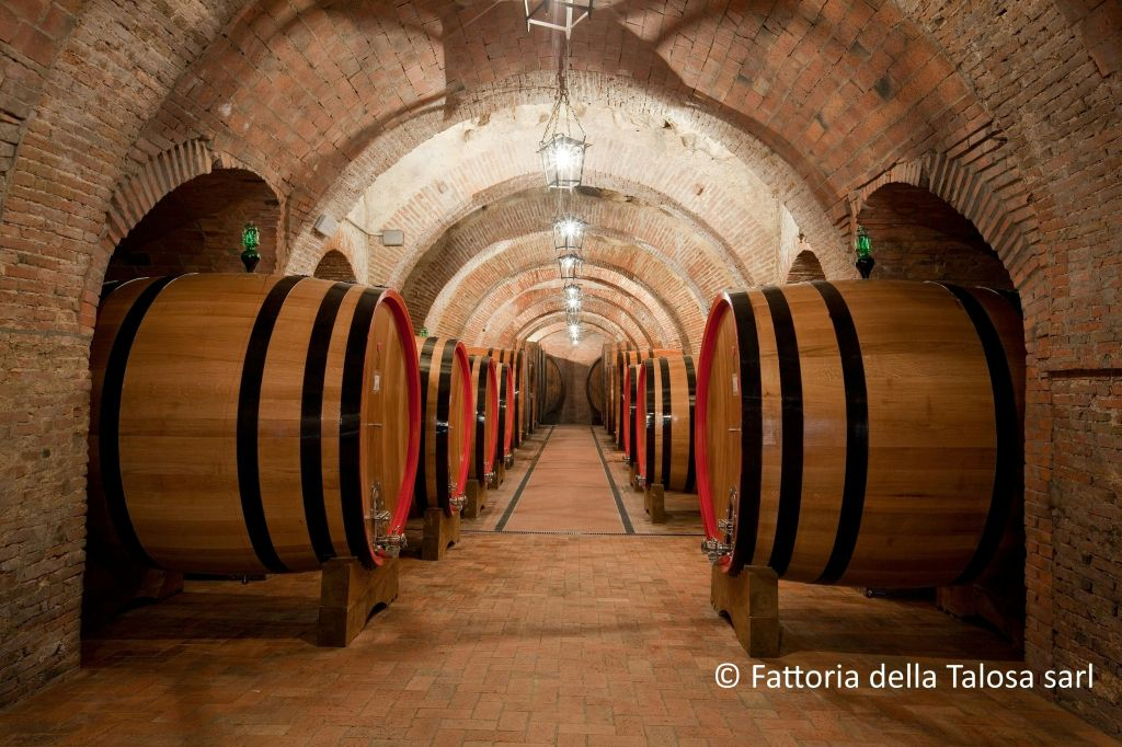 Montepulciano: Visita guidata al vigneto + degustazione di vini