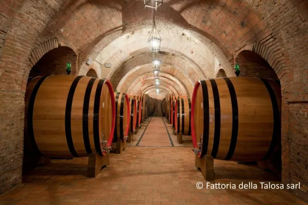 Montepulciano: Visita guidata al vigneto + degustazione di vini