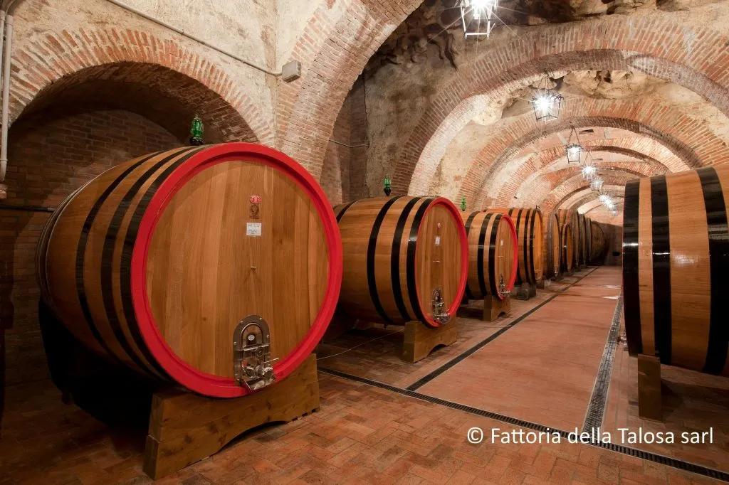 Montepulciano: Visita guidata al vigneto + degustazione di vini