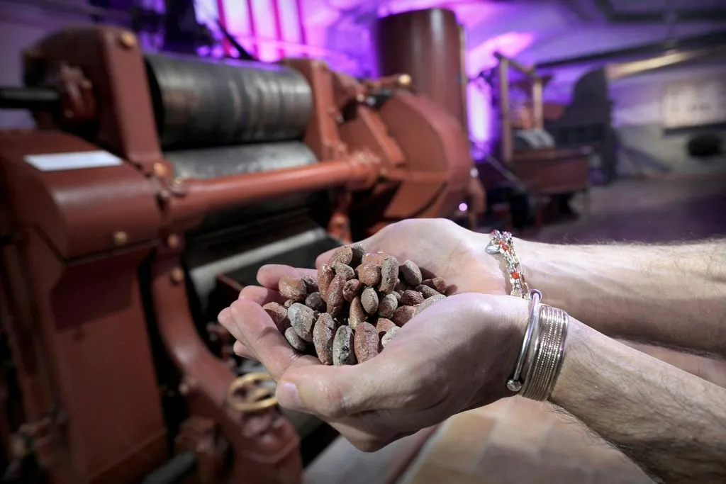 Turin: Choco-Story Tour + Audio Guide + Chocolate Tasting