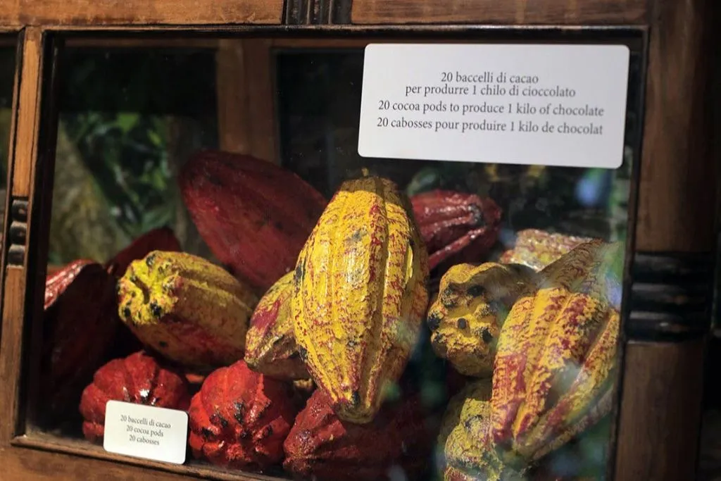 Turin: Choco-Story Tour + Audio Guide + Chocolate Tasting