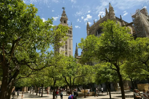 Seville Cathedral: Guided Tour