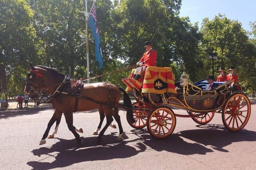 London: Walking Tour + Changing of the Guard at Buckingham Palace