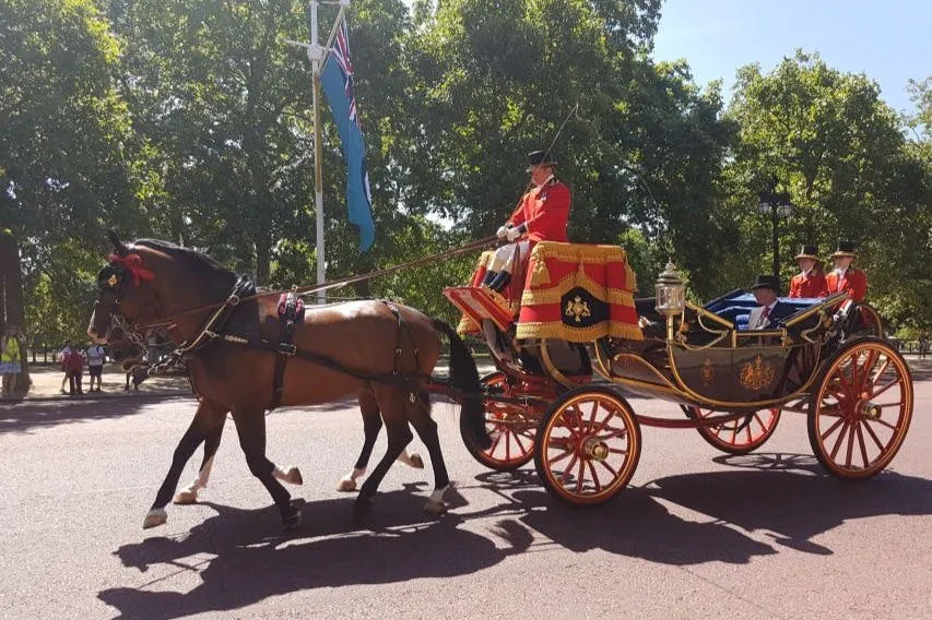 London: Walking Tour + Changing of the Guard at Buckingham Palace