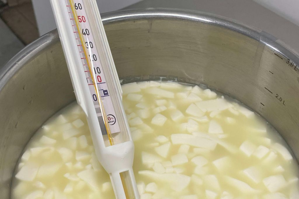 Paris Cheesemaking Workshop Including Wine and Cheese Tasting with an Expert