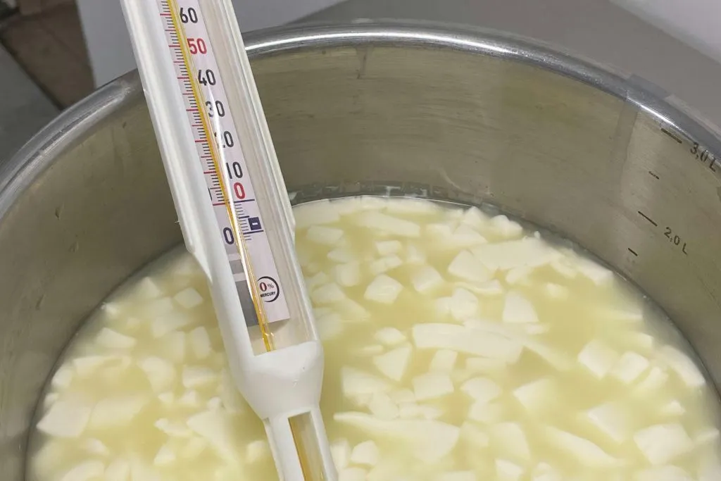 Paris Cheesemaking Workshop Including Wine and Cheese Tasting with an Expert