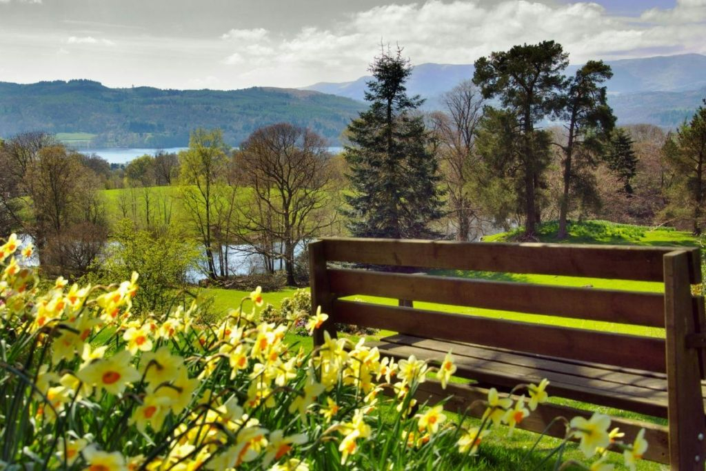 Lake District: Day Trip + Cruise from London with Cream Tea