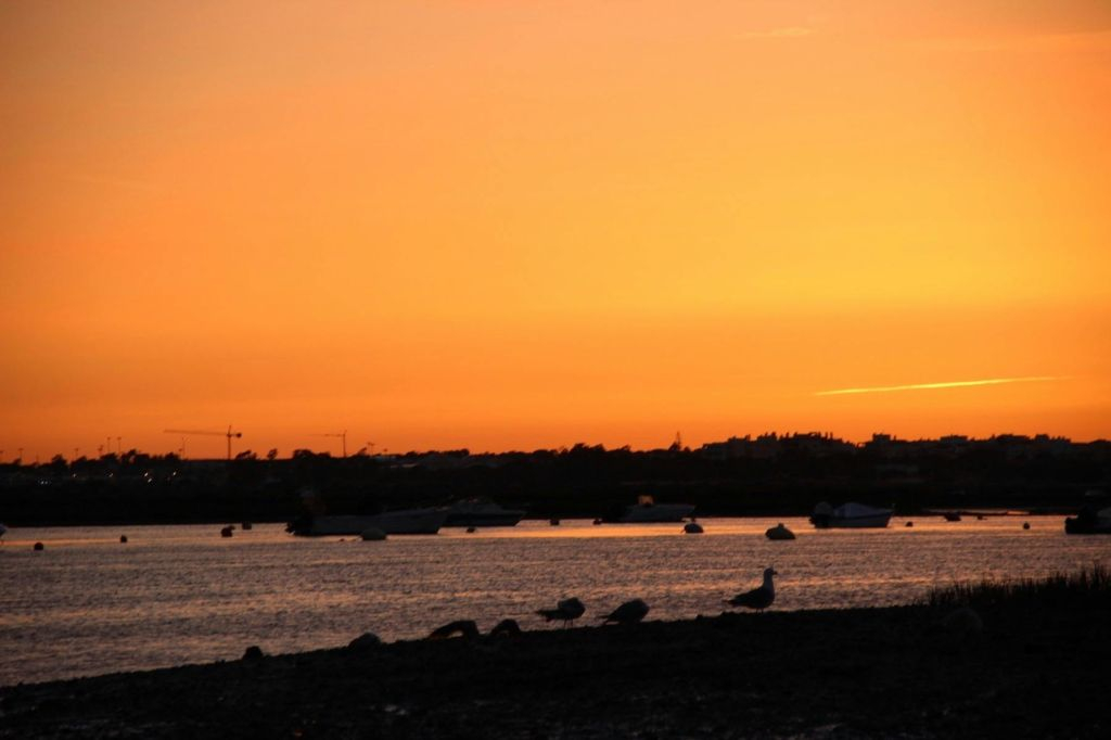 Ria Farmosa: Guided Sunset Boat Tour