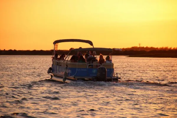 Ria Farmosa: passeio guiado de barco ao pôr do sol