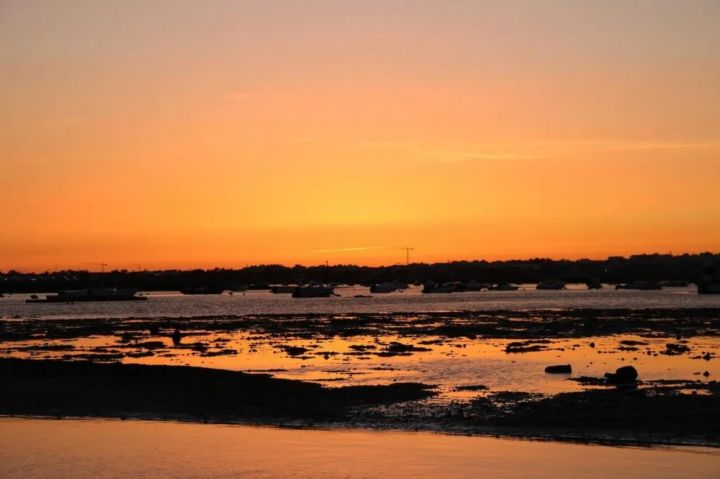 Ria Farmosa: Guided Sunset Boat Tour