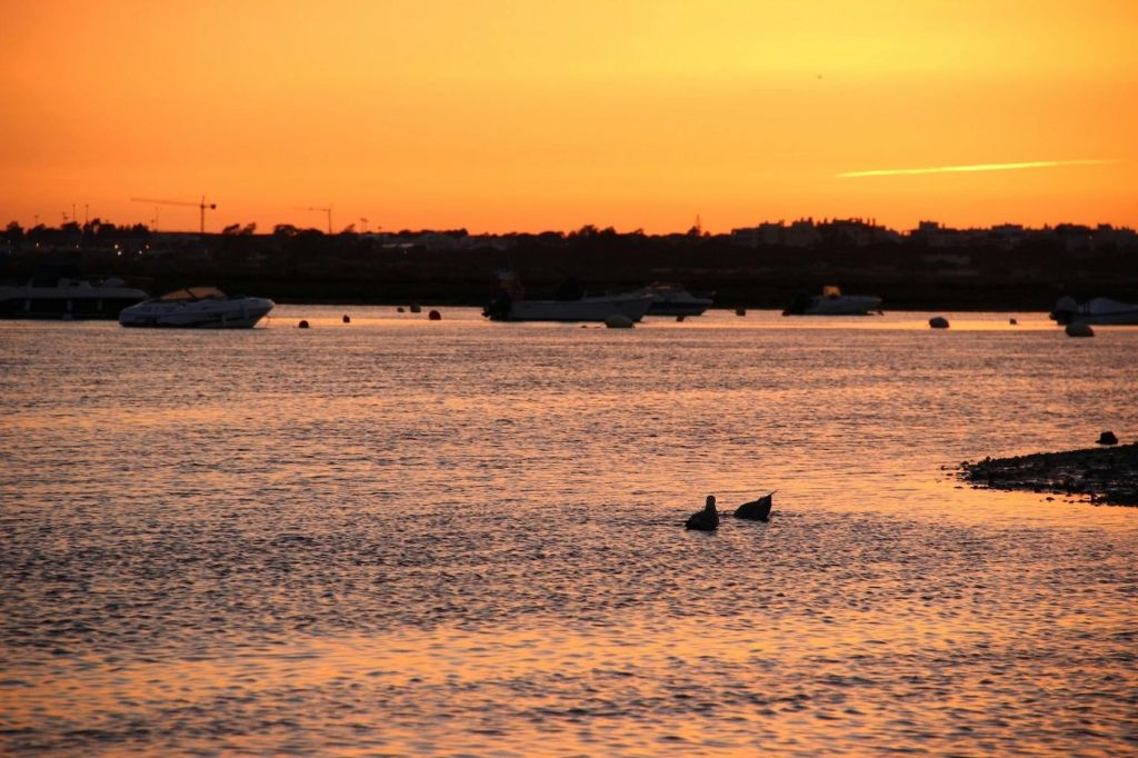 Ria Farmosa: Guided Sunset Boat Tour