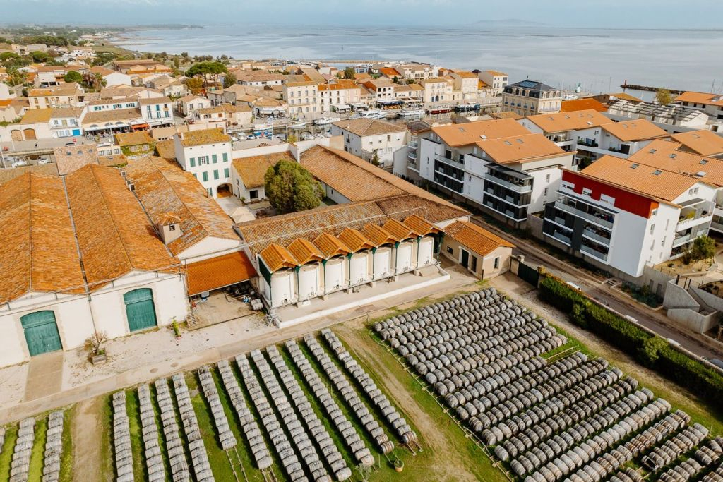 Casa Noilly Prat: Tour storico guidato + degustazione di vini