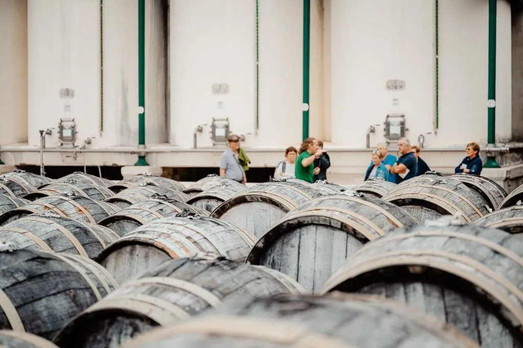 Maison de Noilly Prat : Visite historique guidée + dégustation de vin