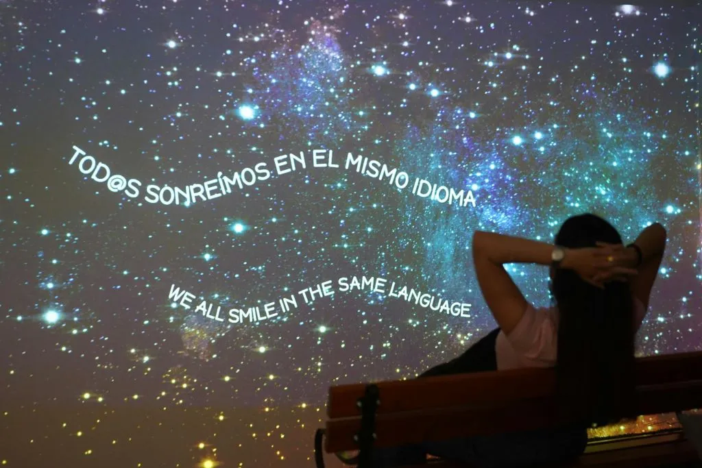 Museo de la Felicidad: Entry Ticket