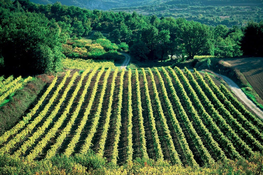 Excursion en croisière à Châteauneuf-du-Pape