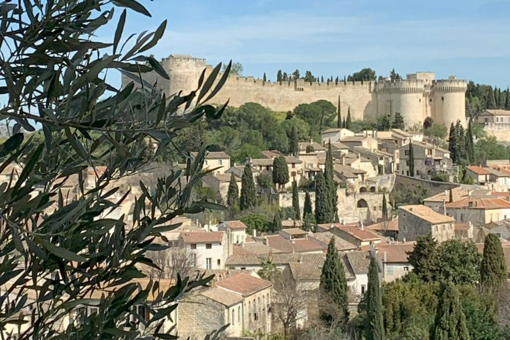 Excursion en croisière à Châteauneuf-du-Pape