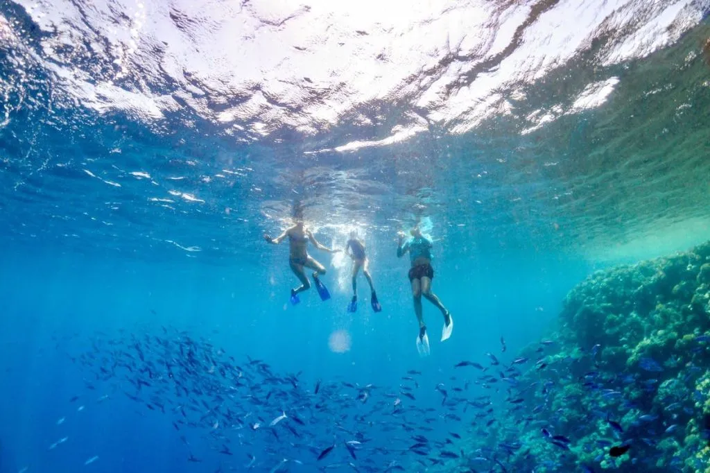 Snorkeling Genova